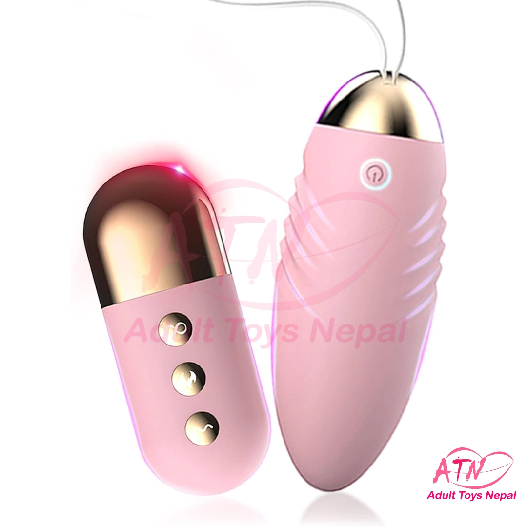 Egg Vibrator