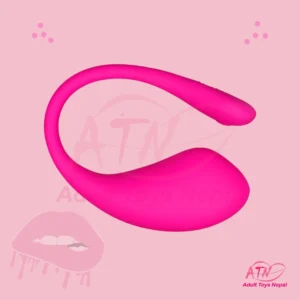 App Controlled Vibrator